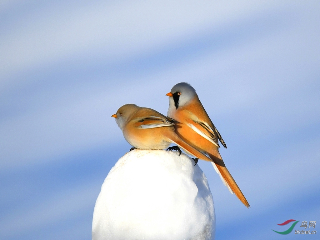 DSC_9035_��ͼ��.jpg