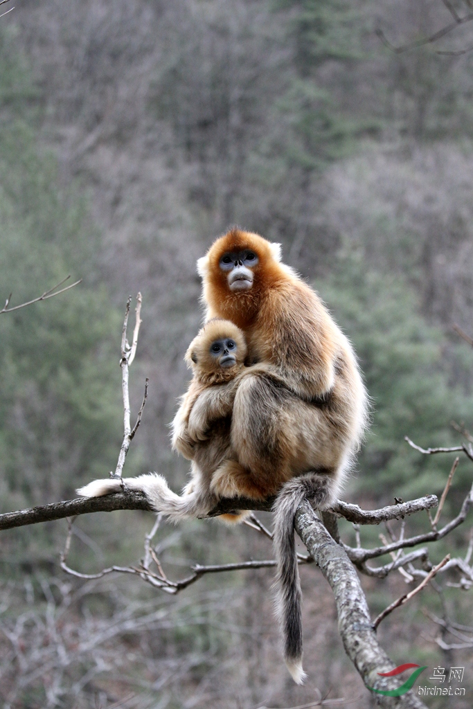 ����˿�� (2).jpg