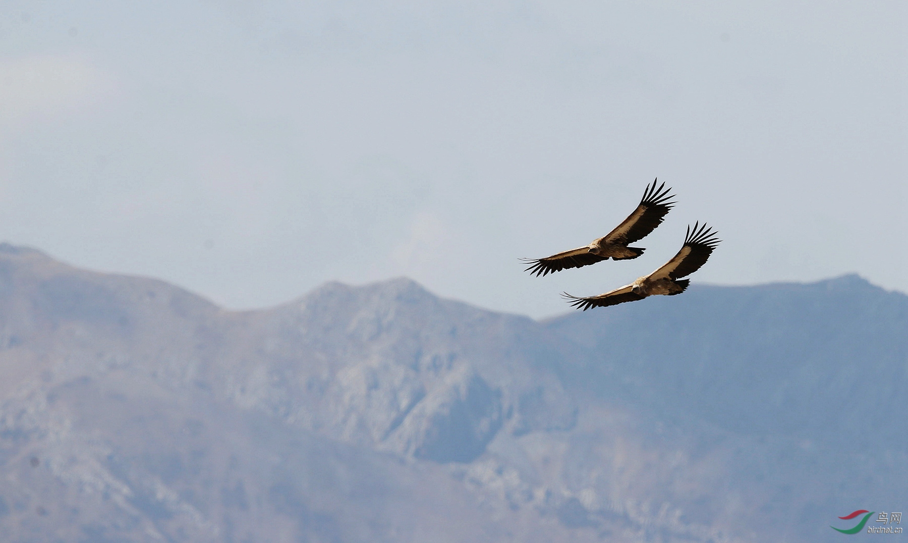 ��ɽأ�� (1).jpg