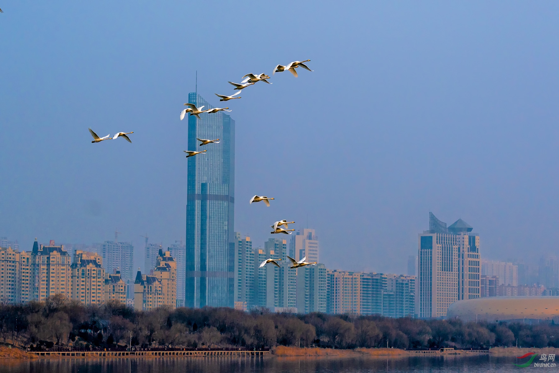 _DSC6451-����ǿ_1_1.jpg