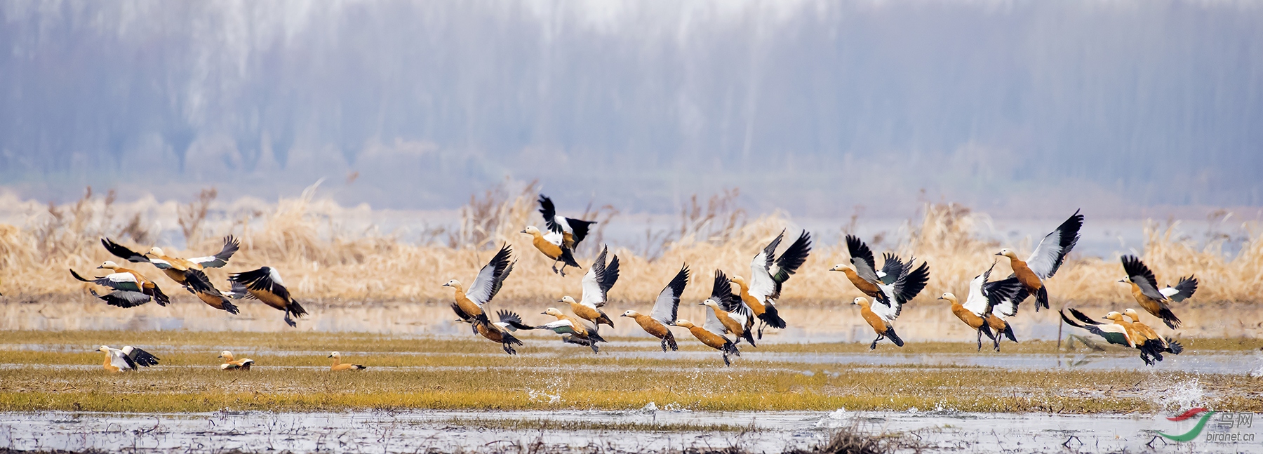 ΢��ͼƬ_20190225125926 ����.jpg