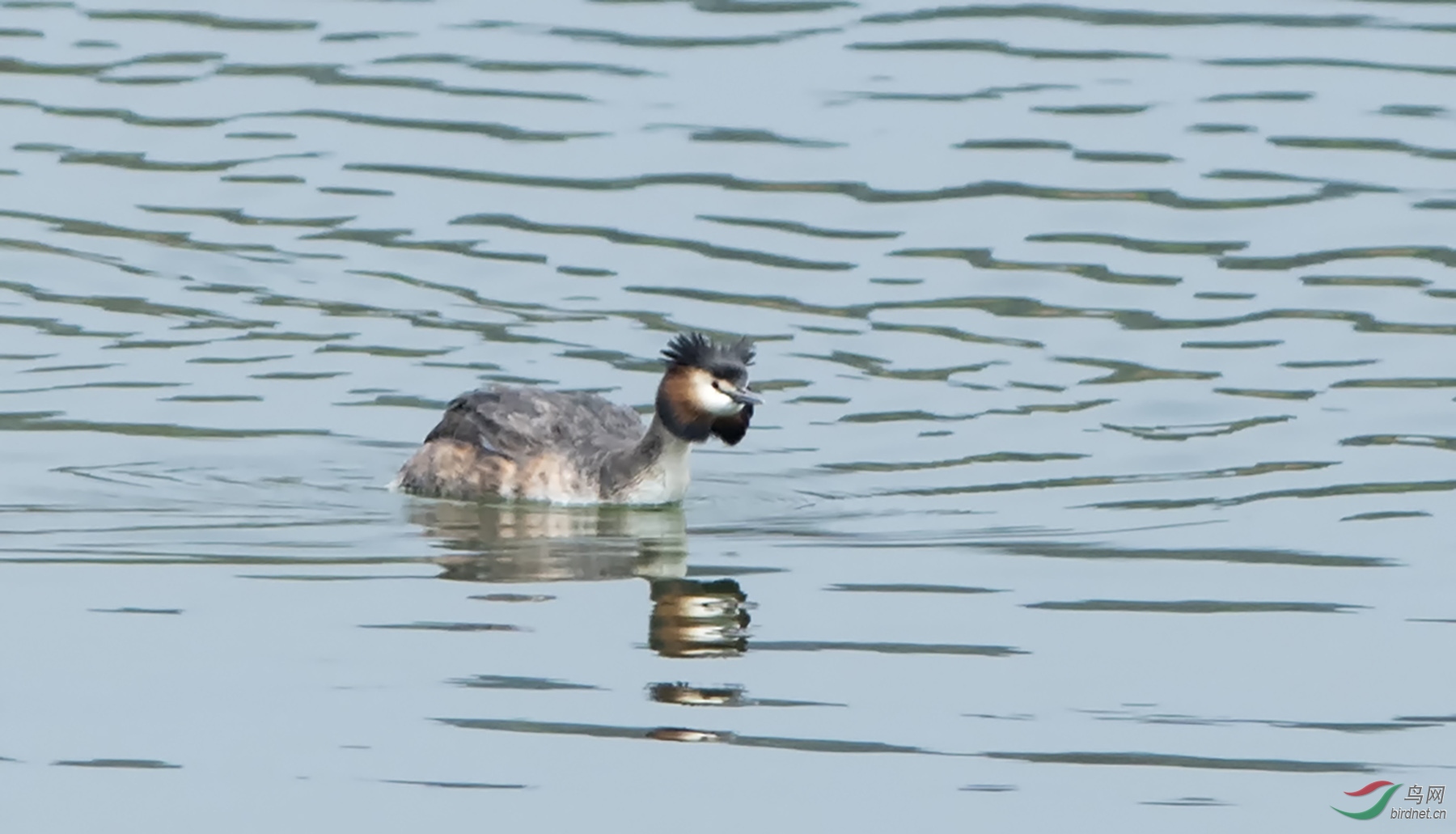 ΢��ͼƬ_2019022513361921 ����.jpg