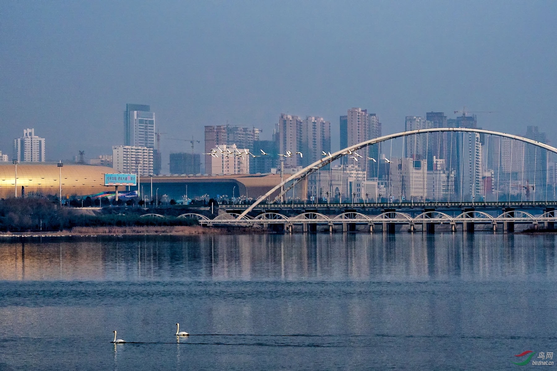 _DSC5353-����ǿ_3.jpg