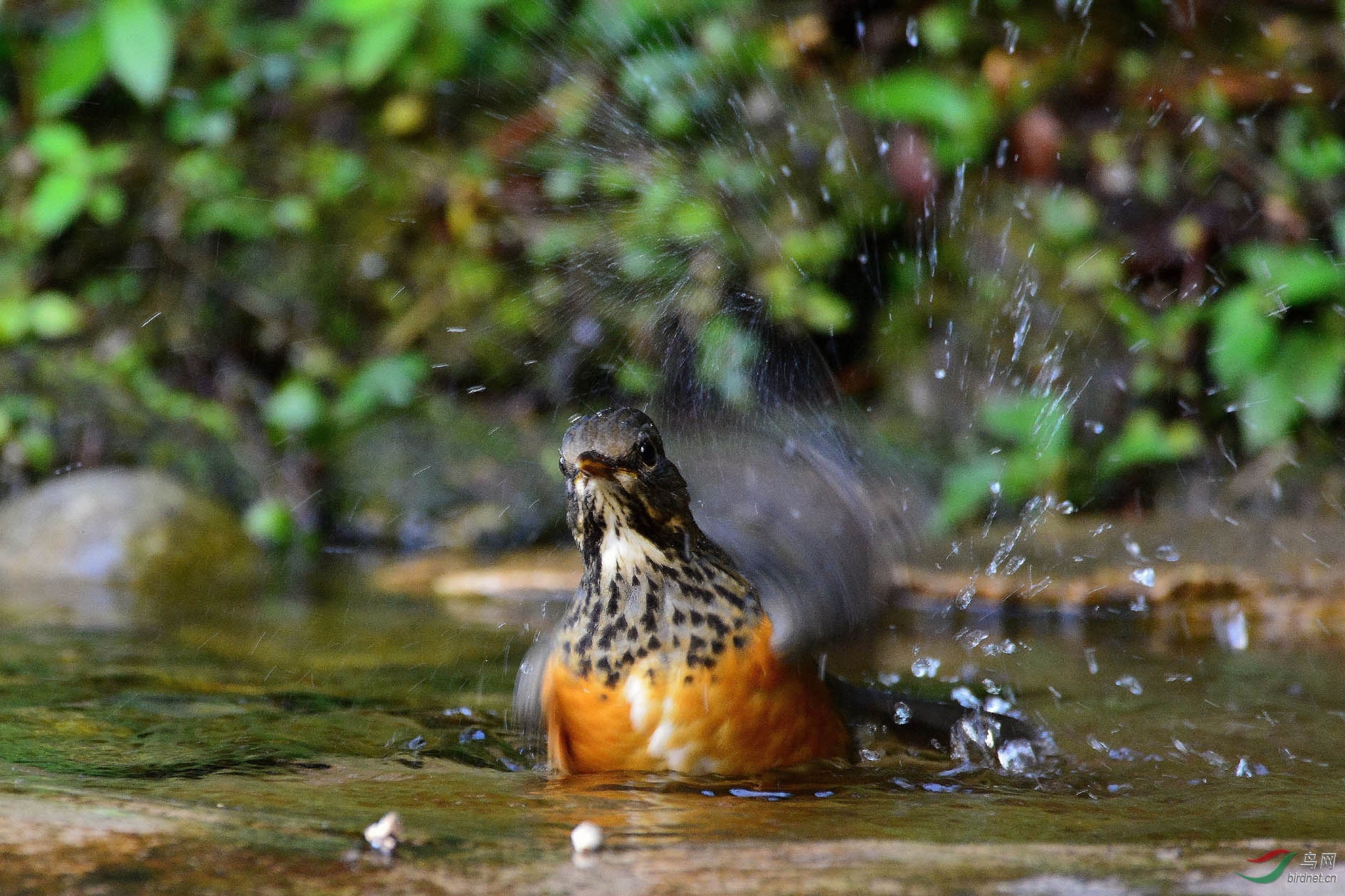 DSC_8497.JPG