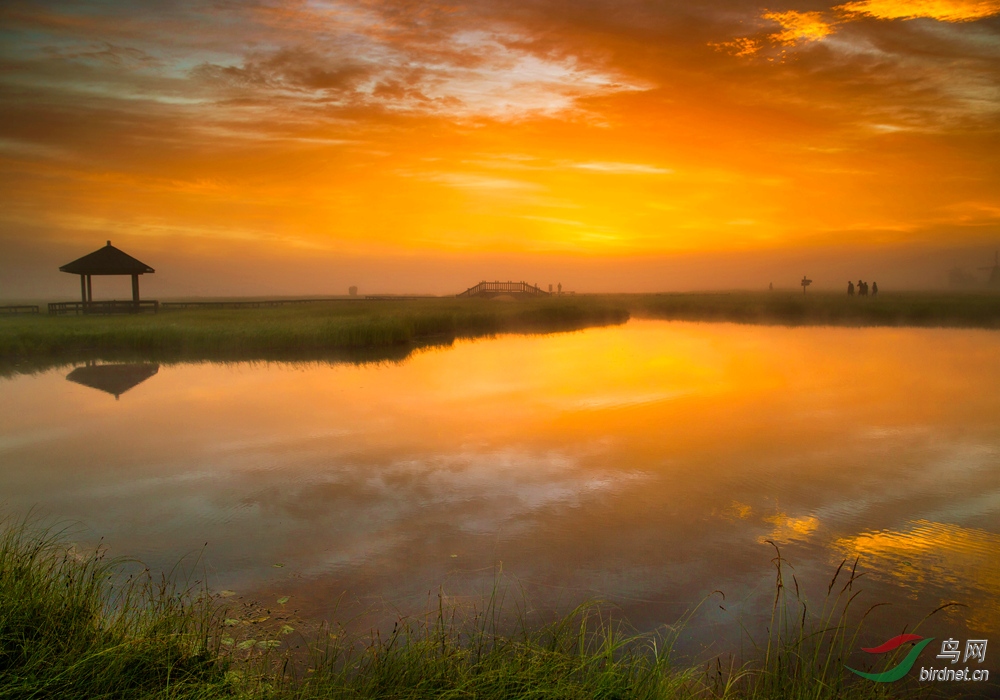 RAW Picture 35048704.jpg