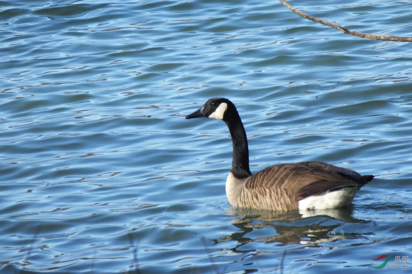 4-���ô���