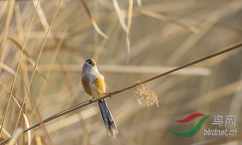 AM3T1314.jpg