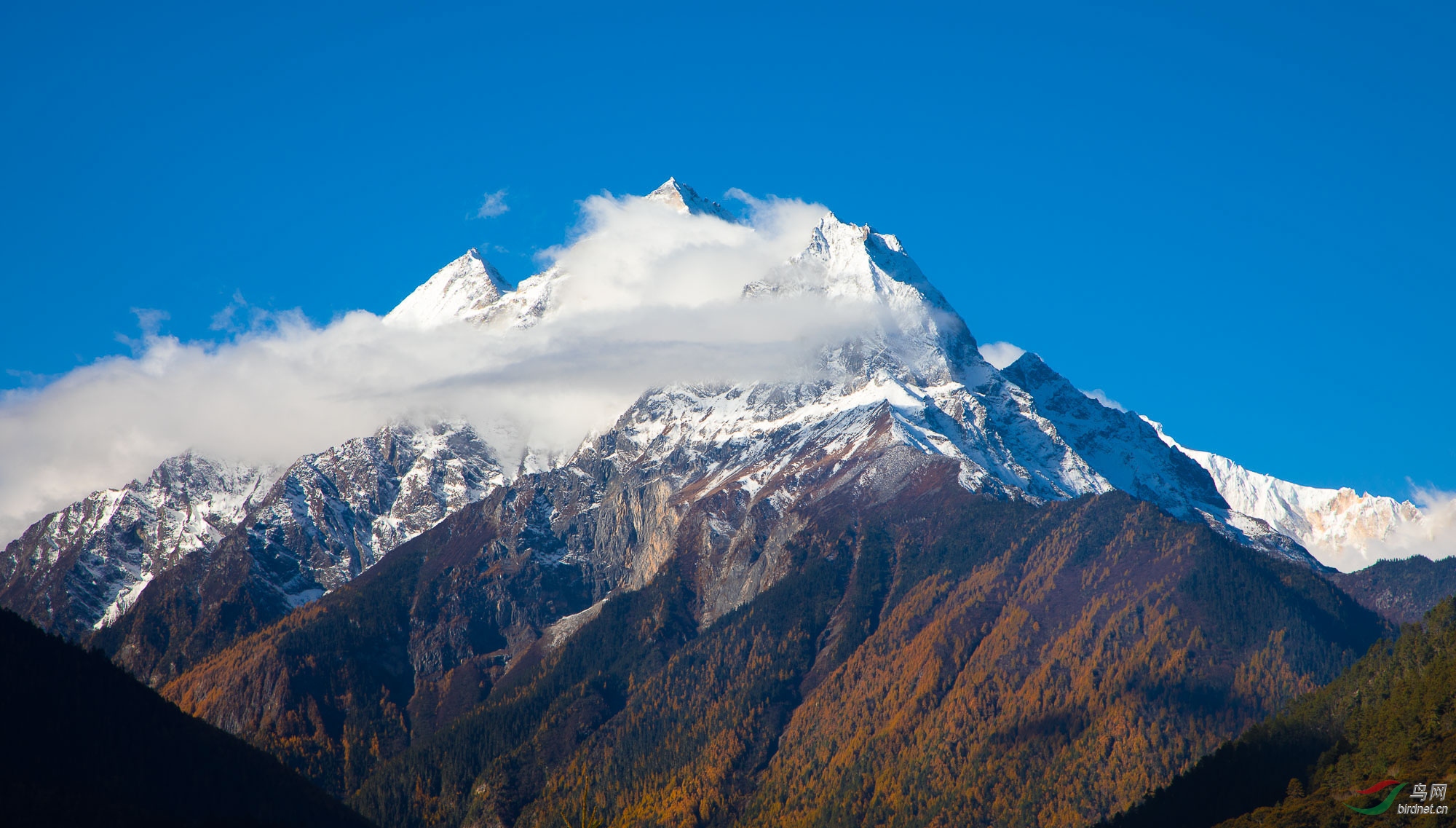 波密雪山