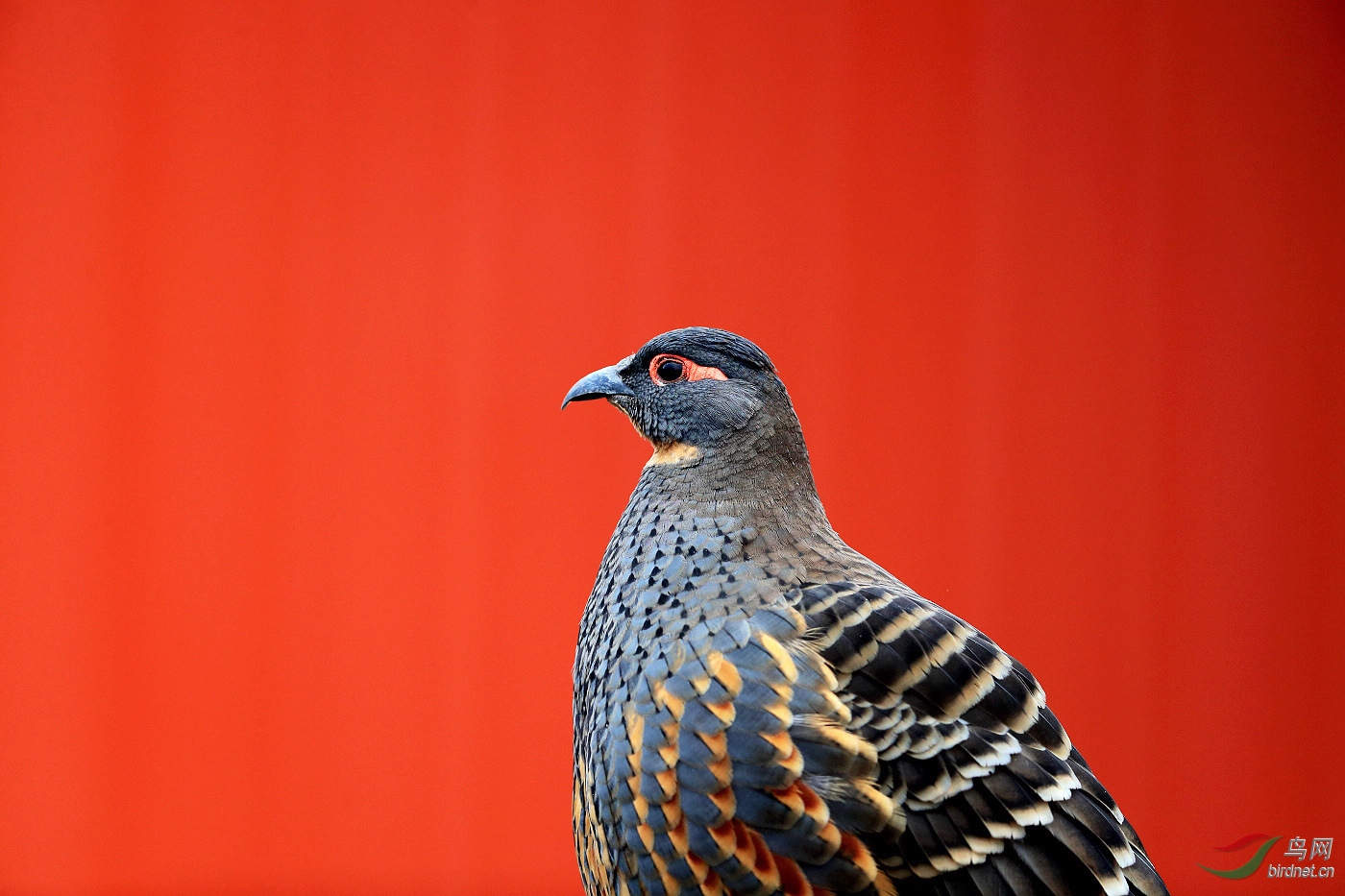 AI0I8501 - ����.JPG