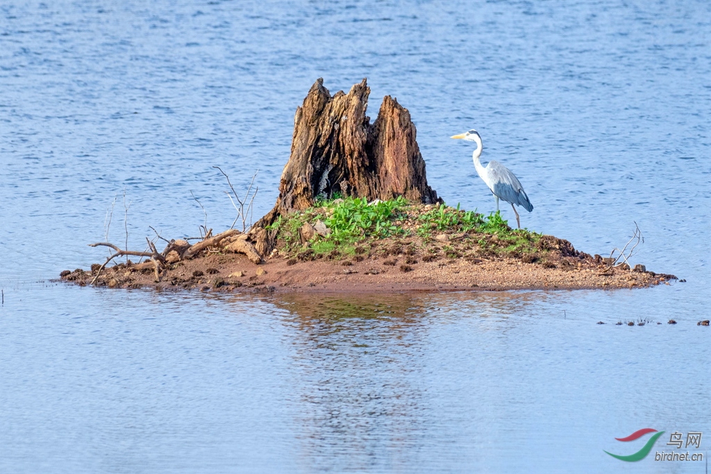 3S5A5974  ����_����.jpg