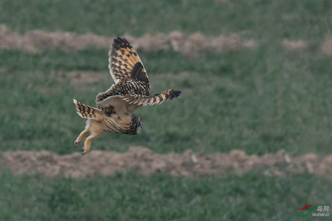 DSC_2057_����.jpg1.jpg