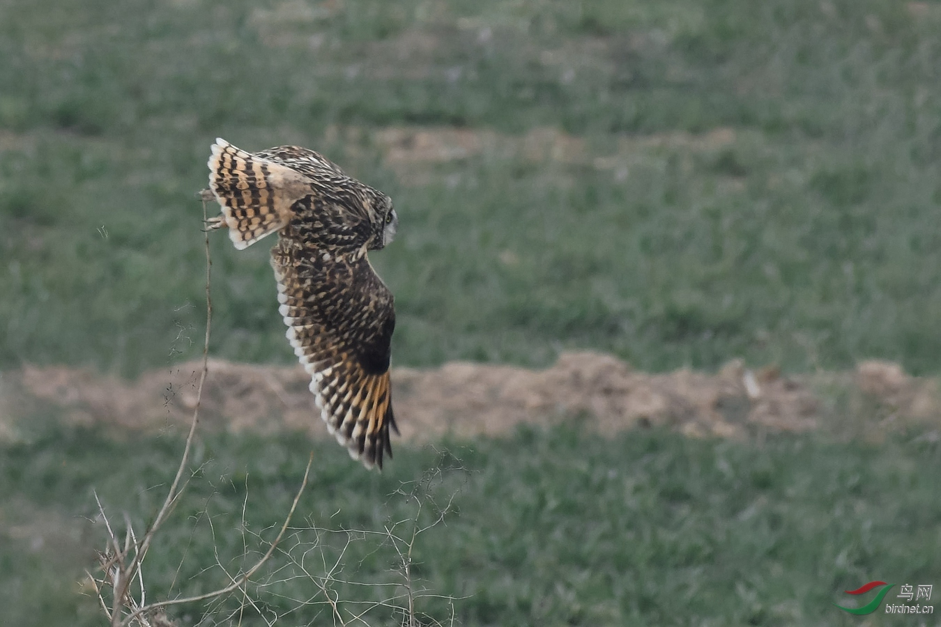DSC_2056_����.jpg1.jpg