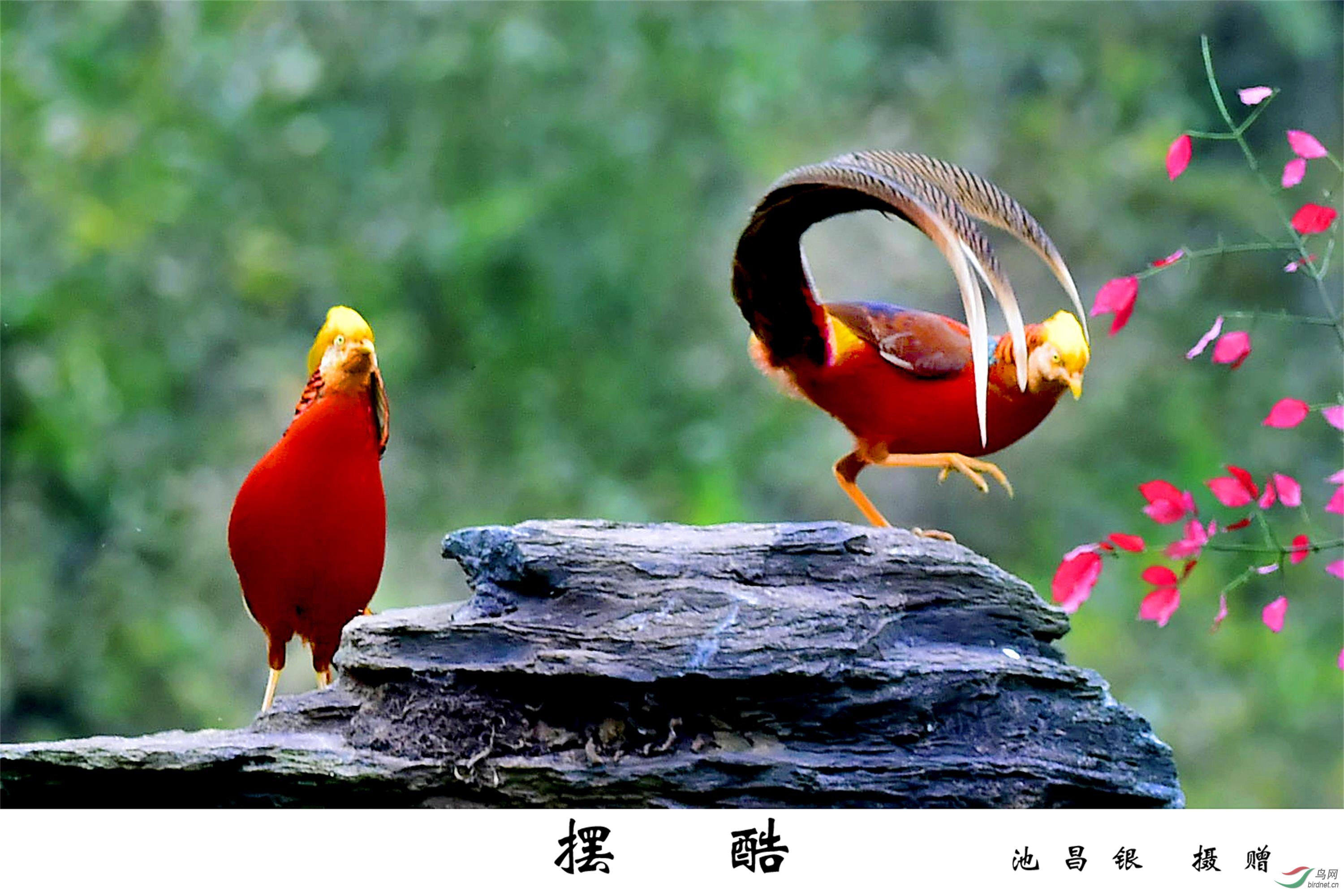 _DSC8312_副本 副本.jpg