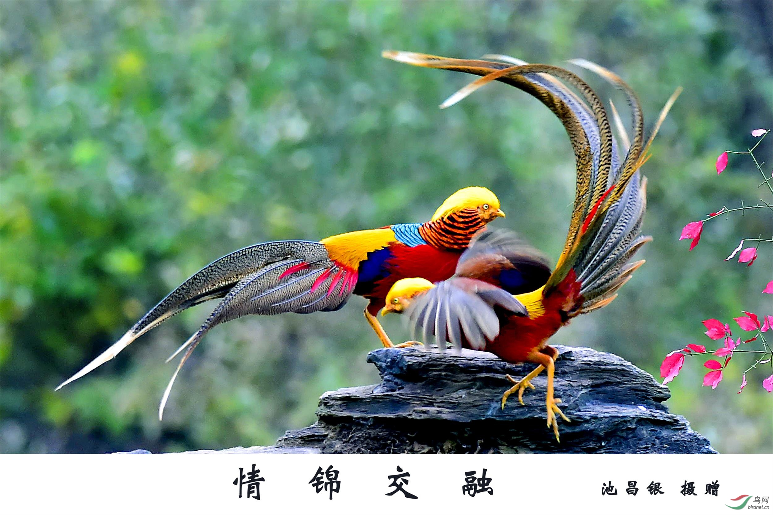 _DSC8284_副本 副本.jpg