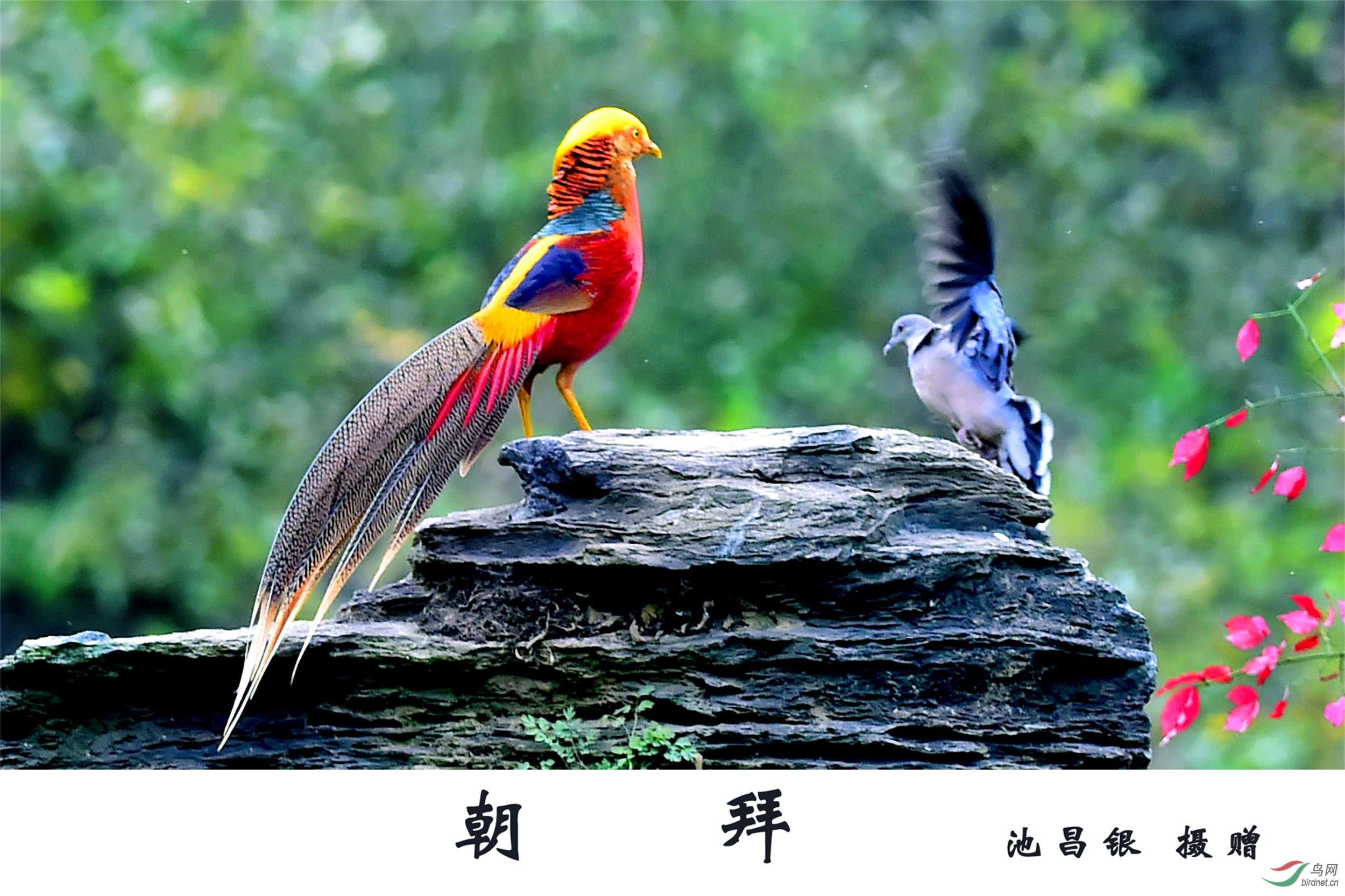 _DSC8911_副本 副本.JPG
