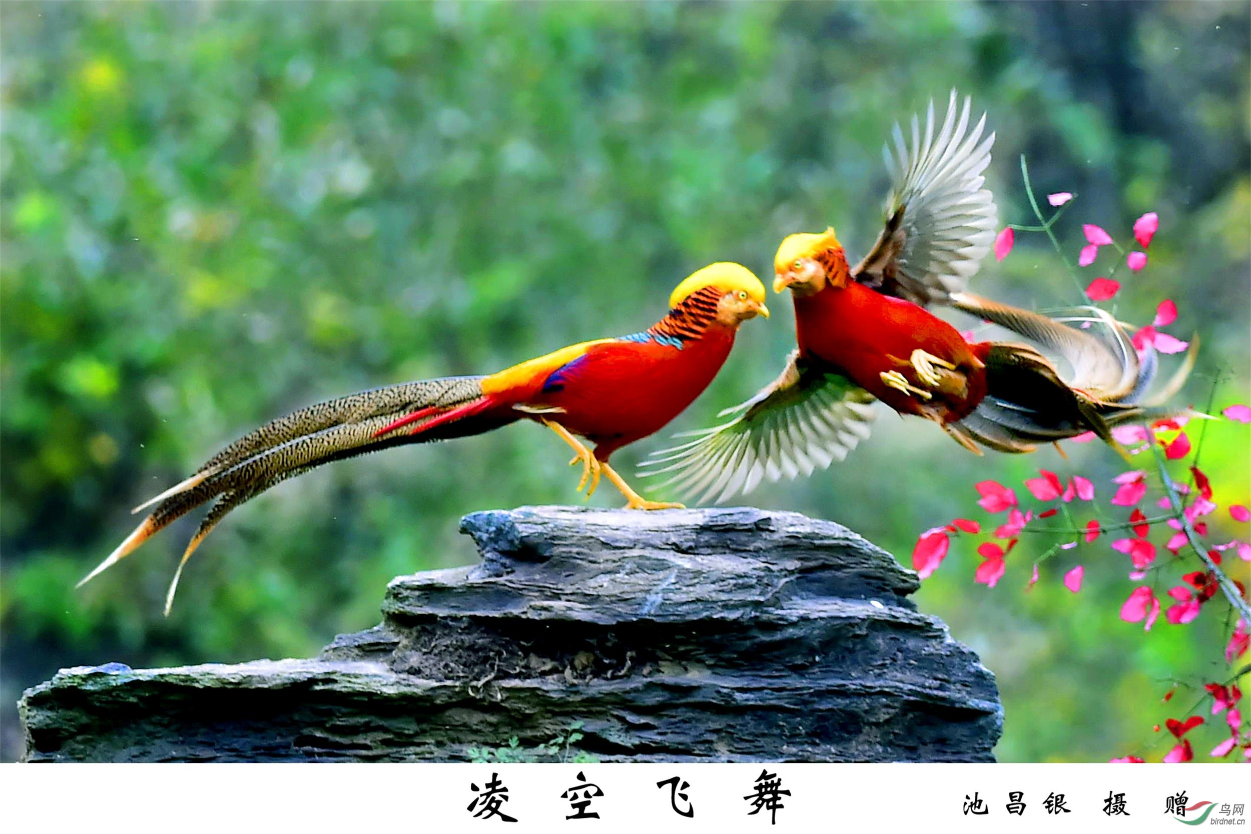 _DSC8315_副本 副本副本.jpg