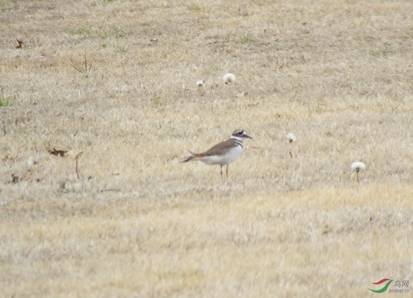 10-˫���a��