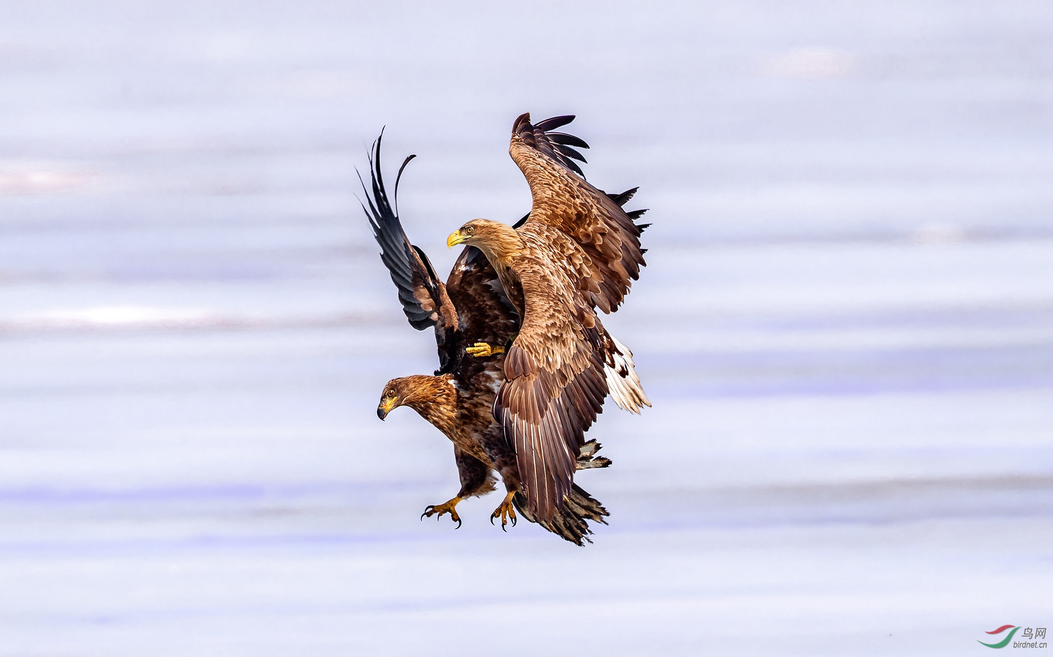 _60O3322-1.jpg