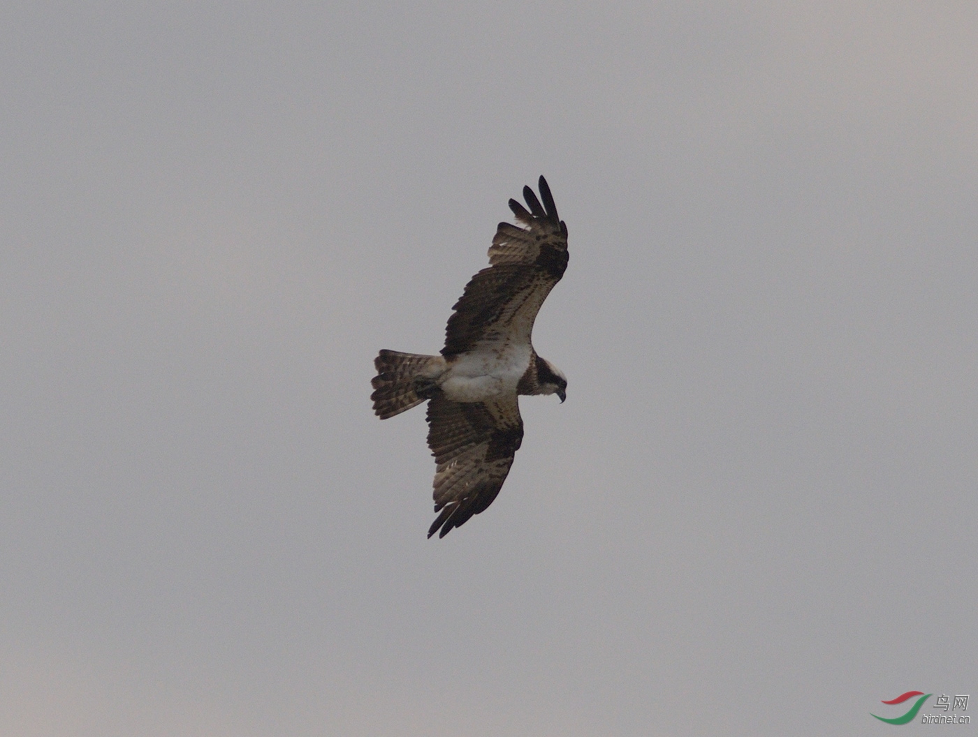 D4S_5378.jpg