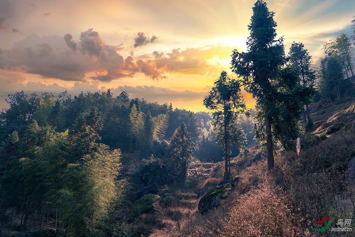 寂静的山林——20190227