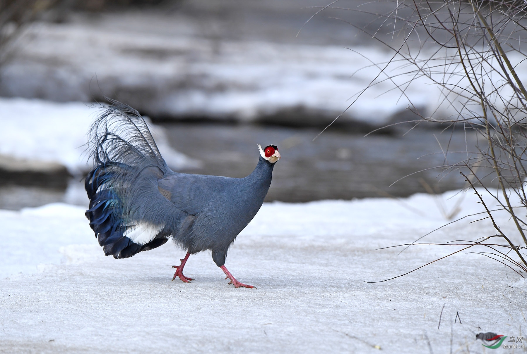 DSC_0109 ����.jpg