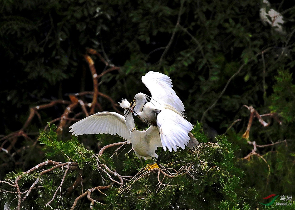 ���ط�ۻι��