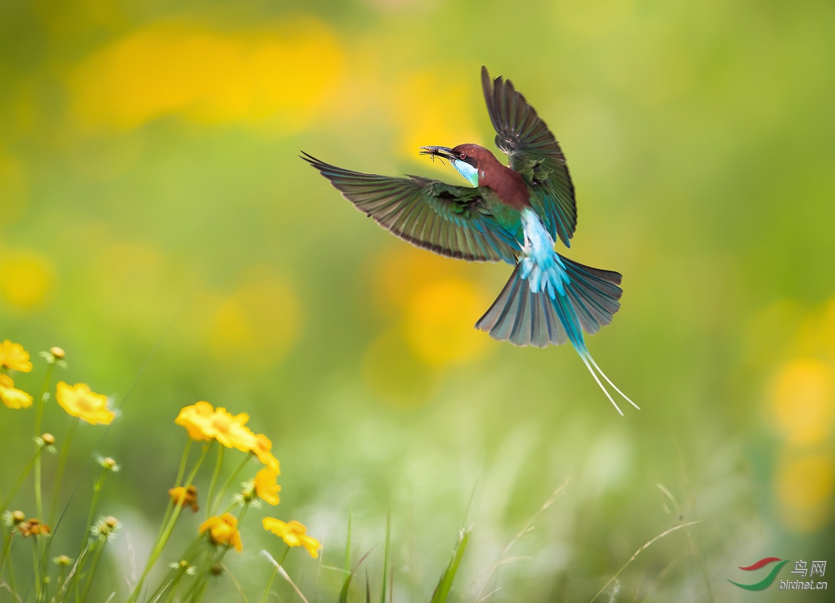 ����P_S4I8426.jpg