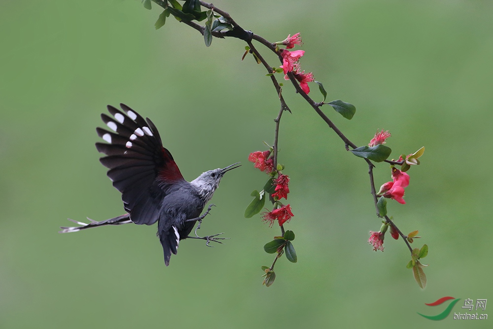 �������ȸ2 (2).jpg