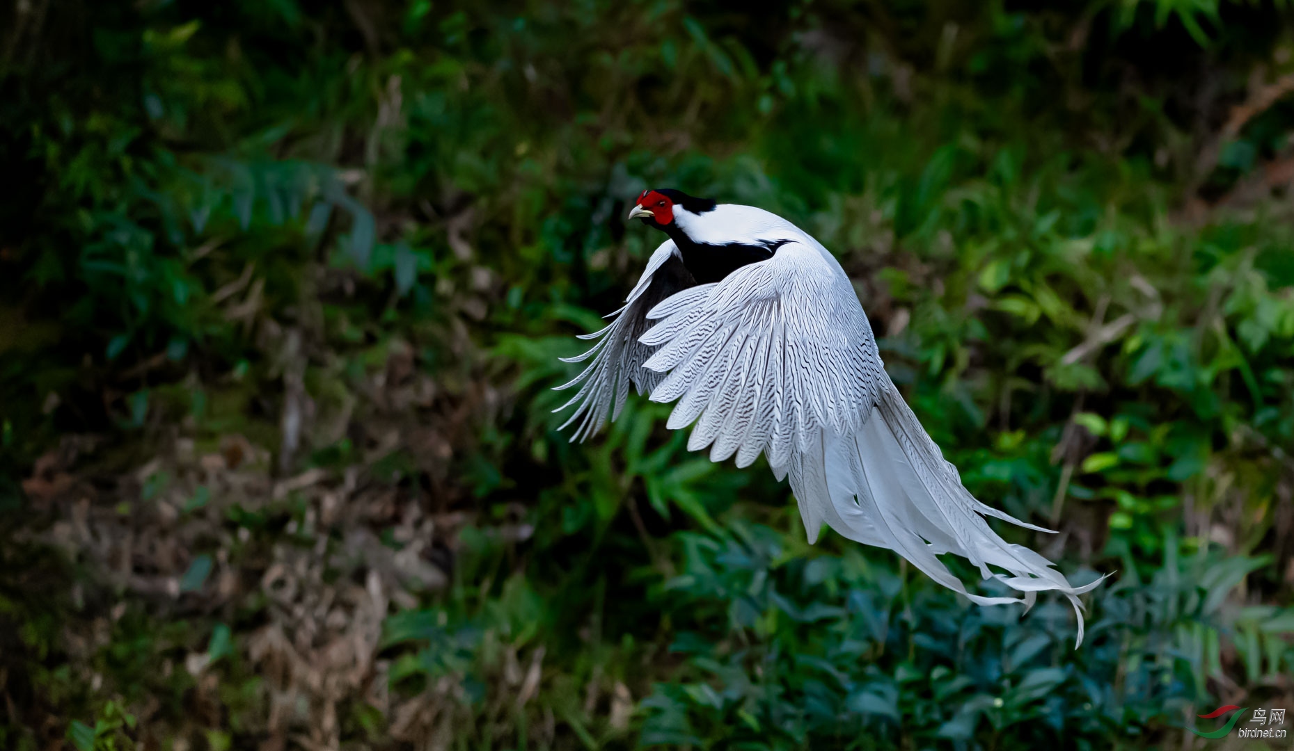 _DSC7737.jpg