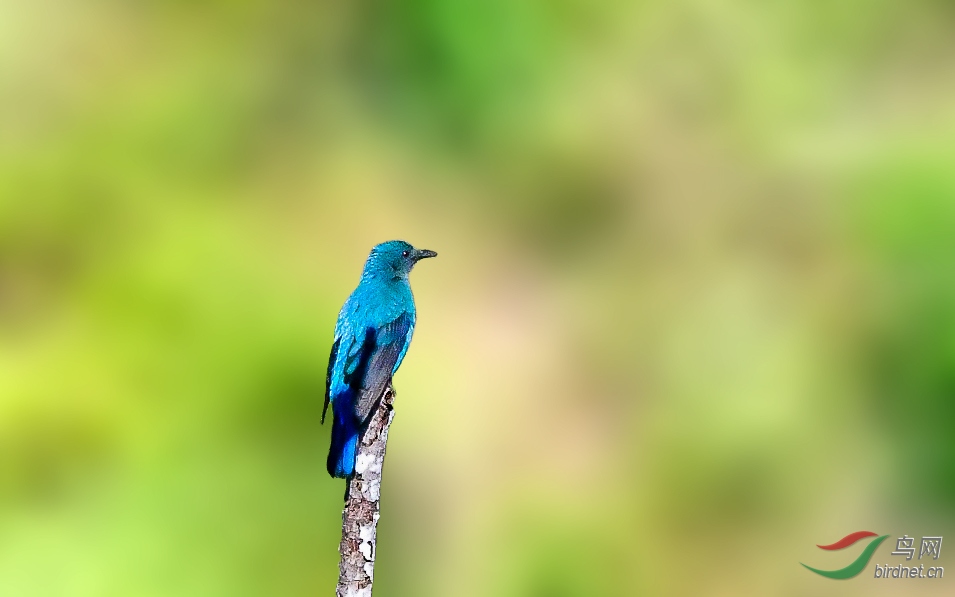 DSC_6859.jpg