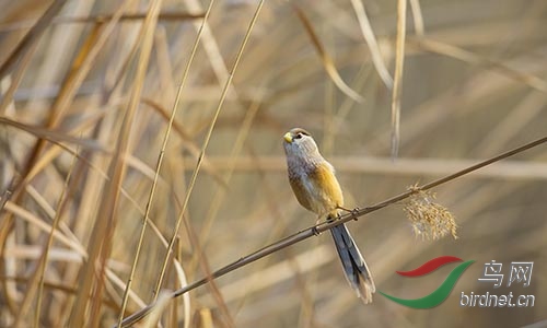 AM3T1297.jpg