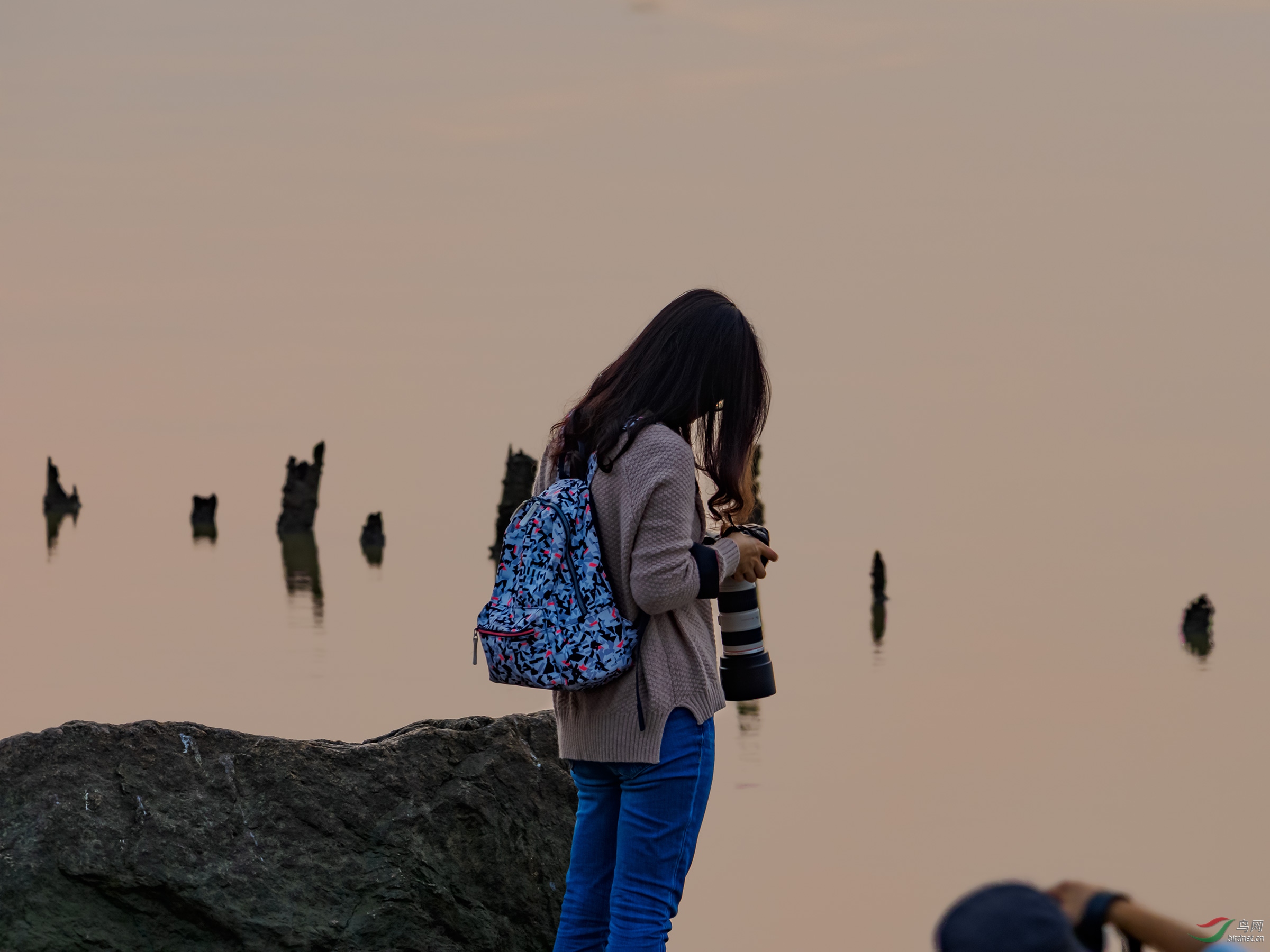 P2280661a-hires.jpg
