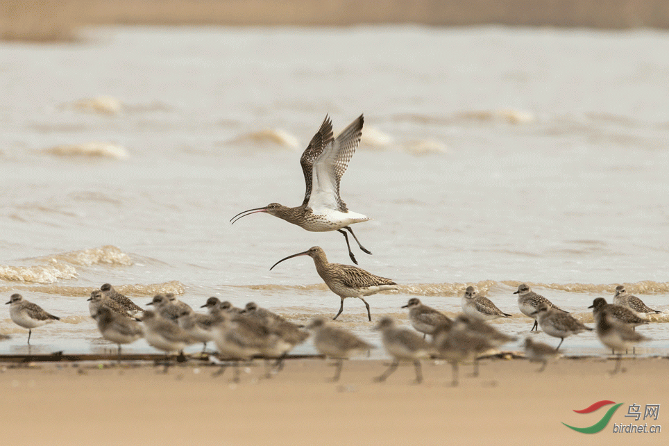 �������4.gif