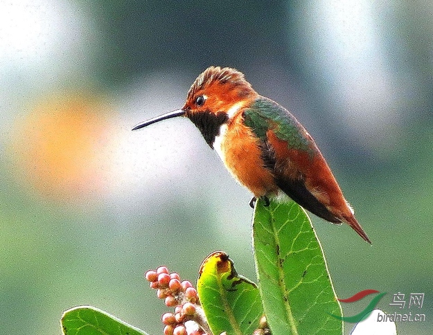 ����� (7)_����.jpg