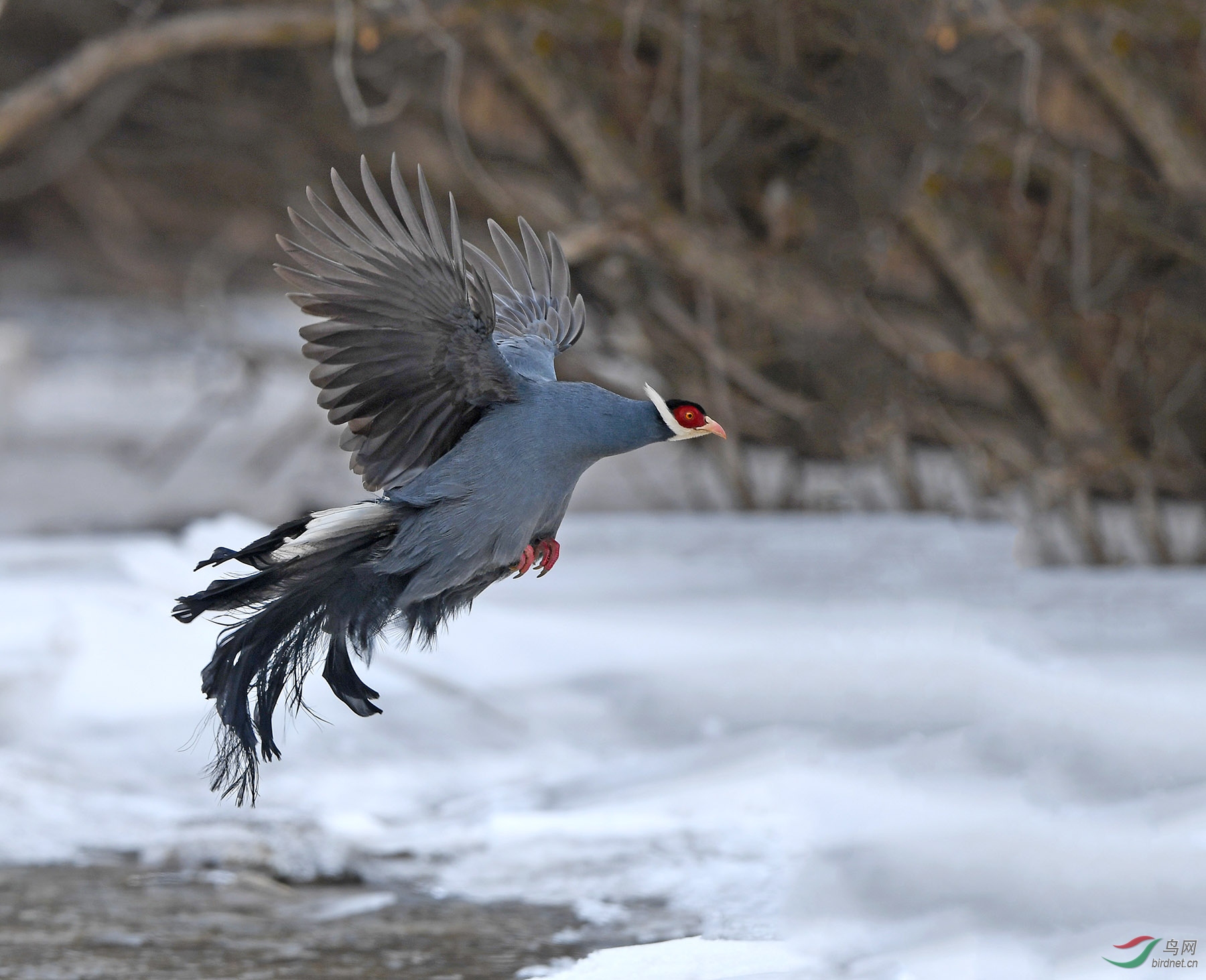 DSC_0614 ����.jpg