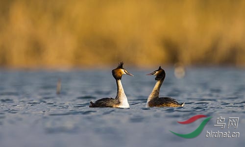 ET2W0131.jpg