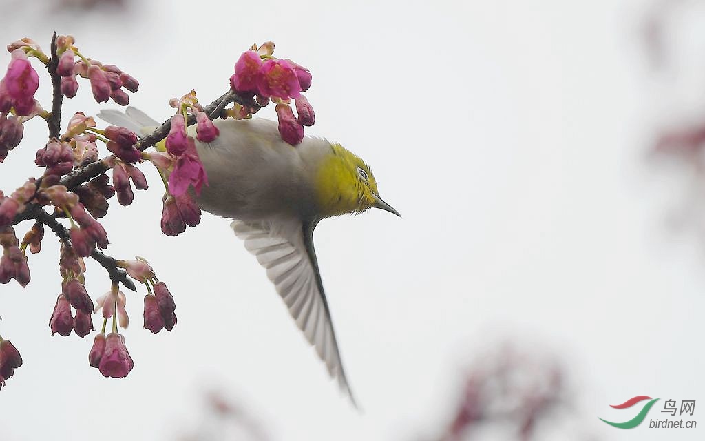 DSC_5031_����.jpg