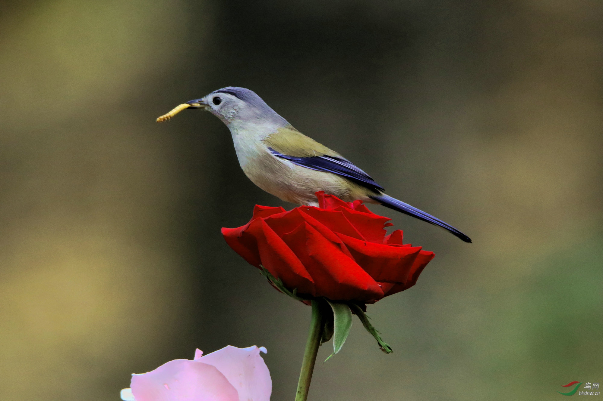 2J2A8154_����.JPG