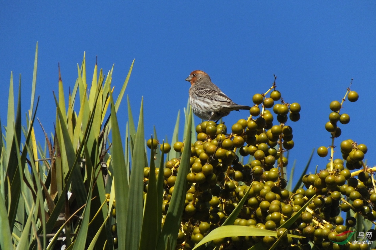 11-����ȸ��