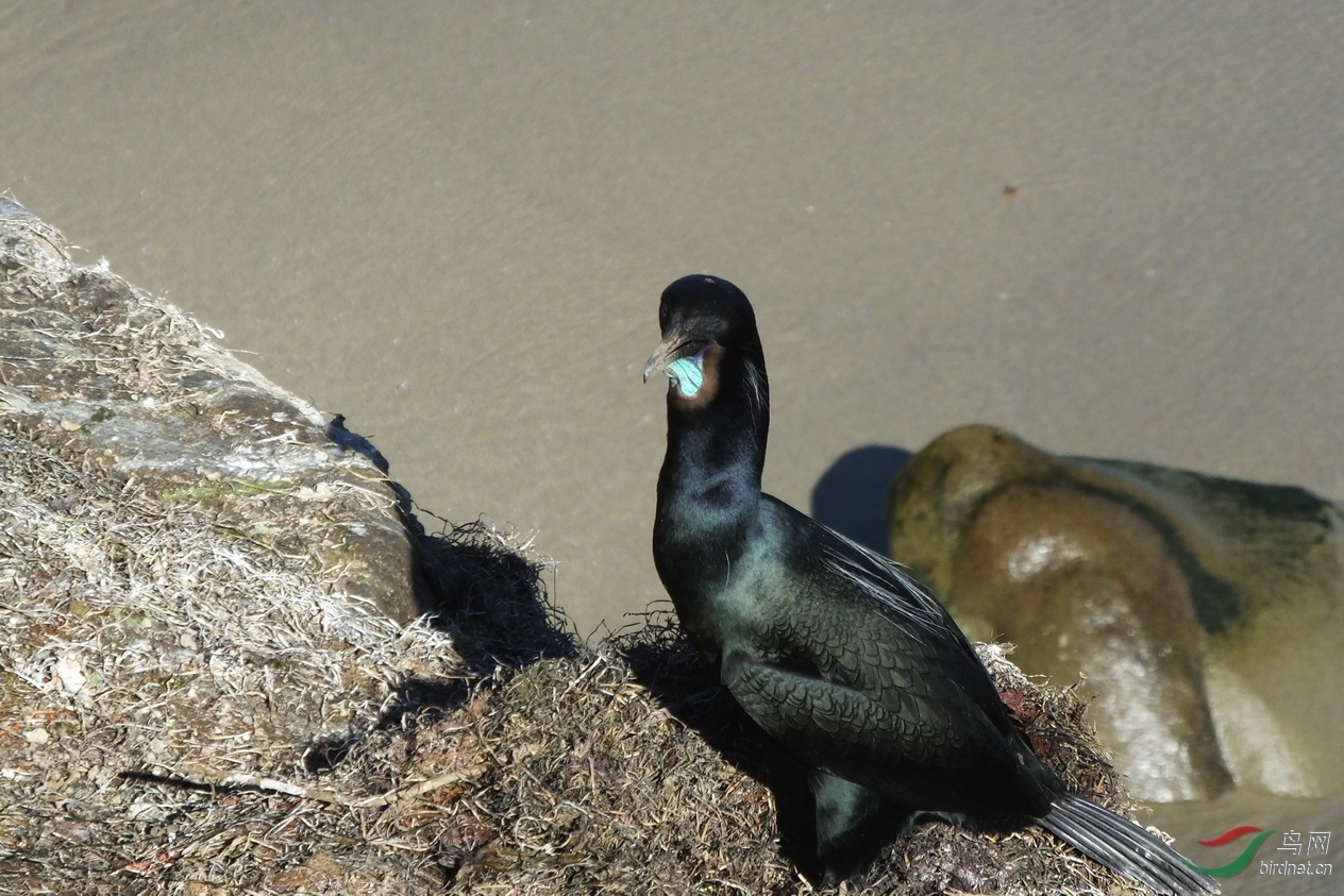 12-������ˣ�