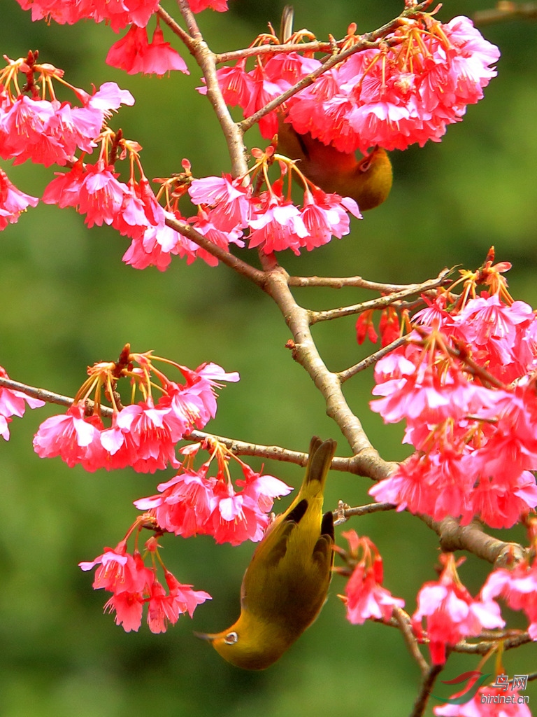 ���ջ���ͼ