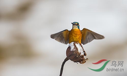 ET2W0880.jpg