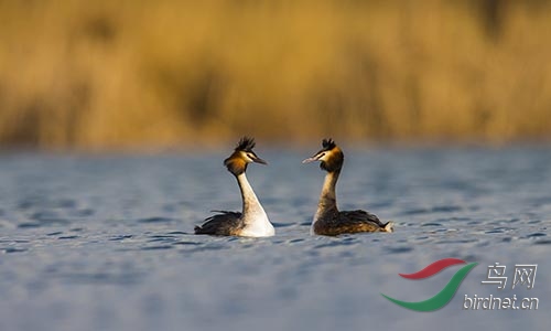 ET2W0145.jpg