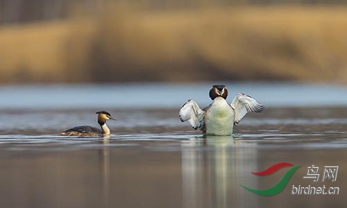 ET2W0361.jpg