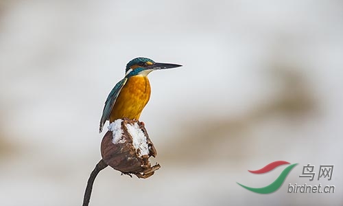 ET2W0883.jpg