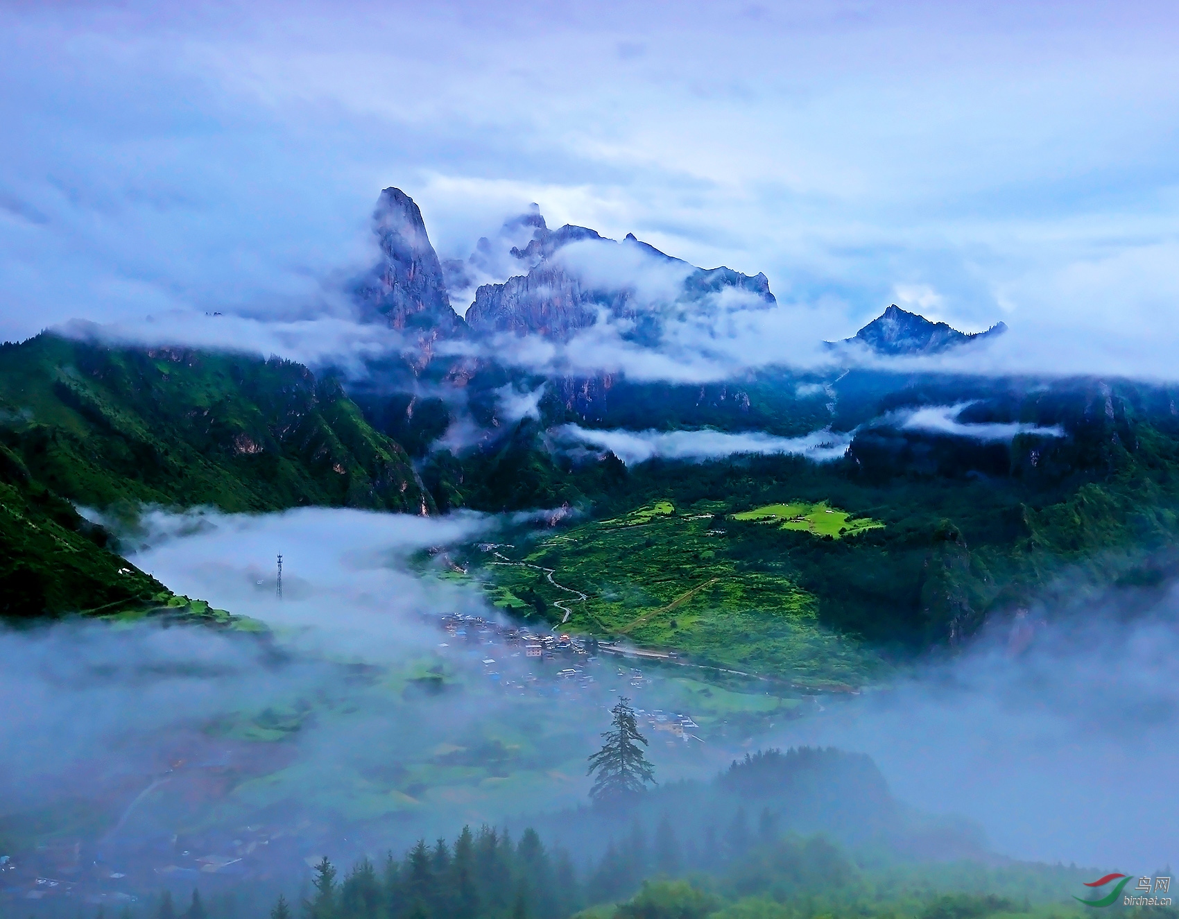 梦中仙境 - 河南版 henan 鸟网