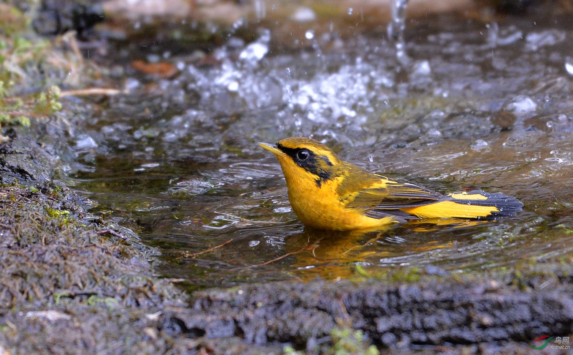 DSC_2644.JPG