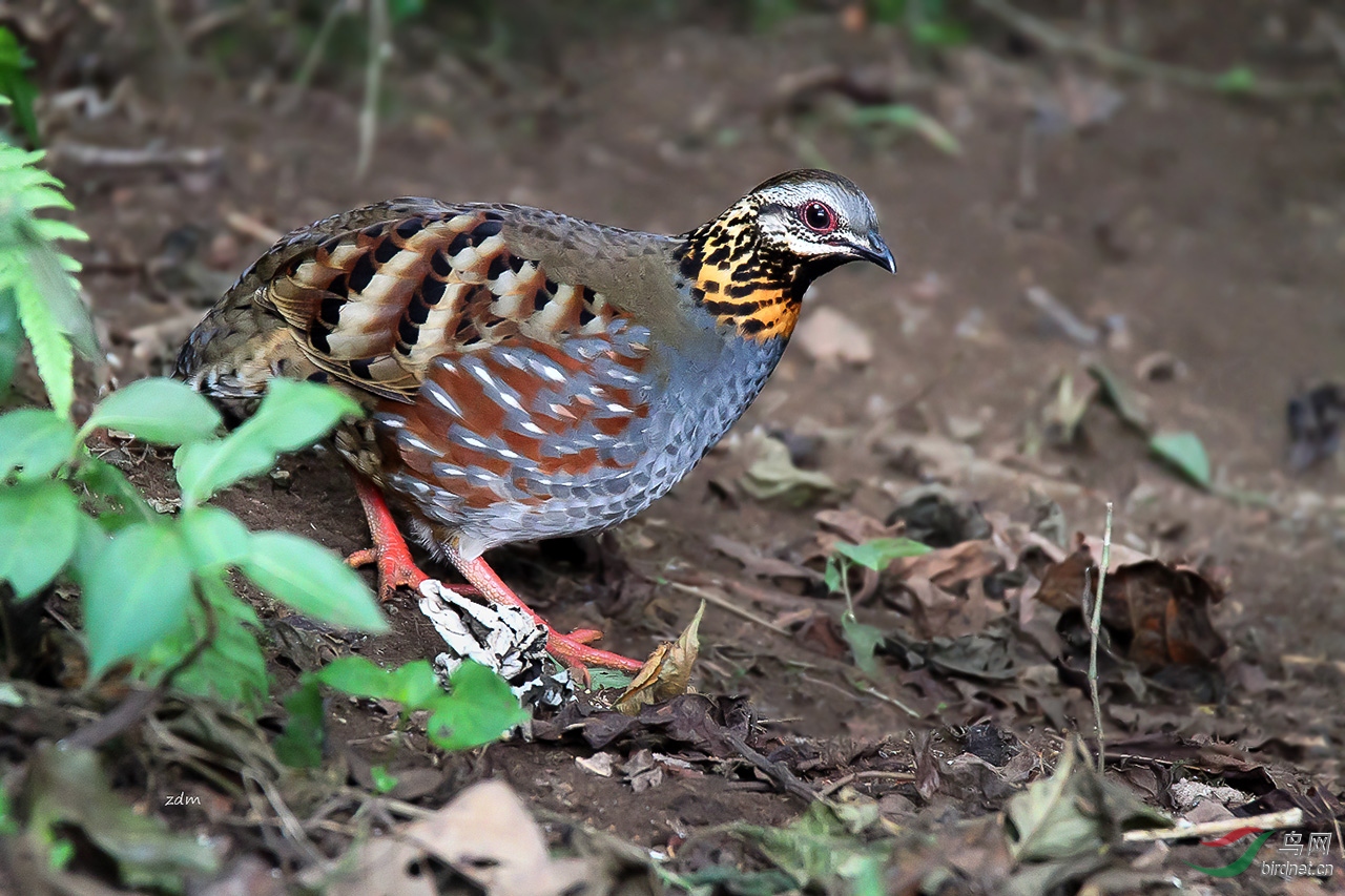 ���ɽ��� (2).jpg