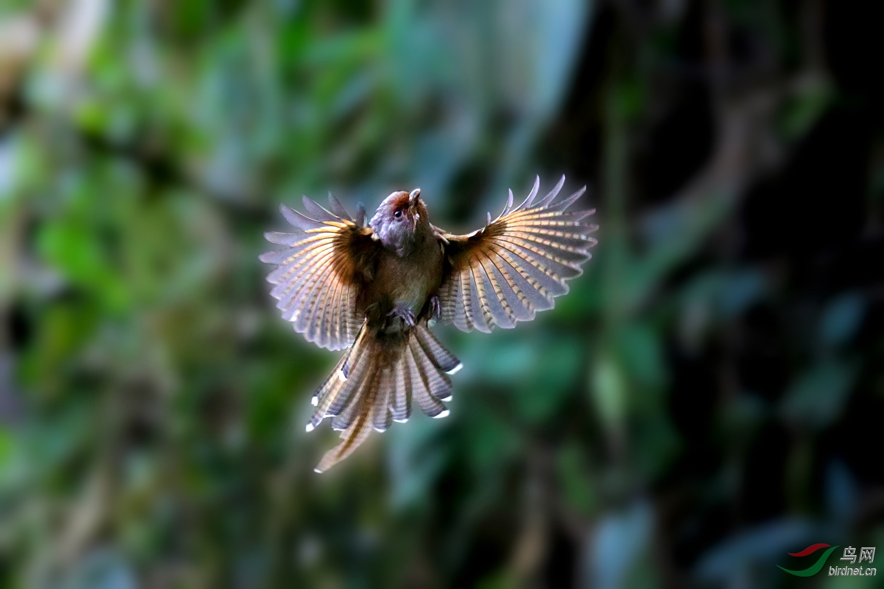 2016_12_19_12 (326)_����.jpg