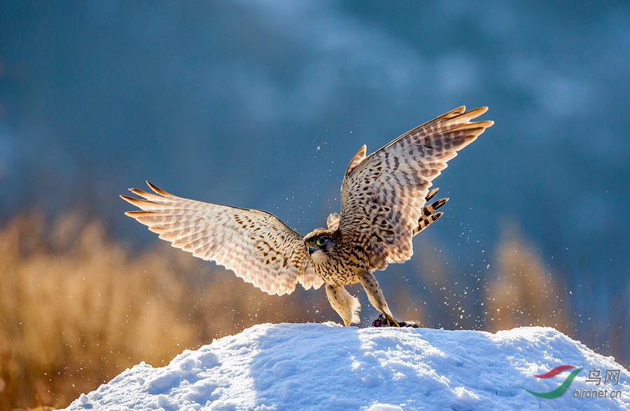 EB2T3467a.jpg